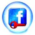 Icon of program: XenArmor Facebook Passwor…