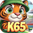 Icon of program: K65DriftZone
