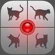 Icono de programa: Human-to-Cat Translator