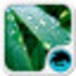 Icon of program: Keyboard for LG L7 2