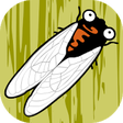 Icon of program: Cicada Hunt