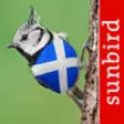 Icon of program: All Birds Scotland - A Co…