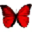 Icon of program: Butterfly Kyodai