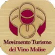 Icon of program: Movimento Turismo del Vin…