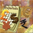 Icon of program: Monthly Expenses Lite