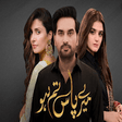 Icon of program: Meray Paas Tum Ho