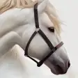 Icon of program: Horse Wallpaper HD : back…