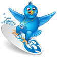 HappySurfer icon