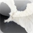 Icon of program: Moo Cows
