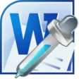 Icon of program: MS Word Extract Data & Te…