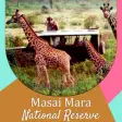 Icon of program: Masai Mara National Reser…