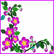 Border Design icon