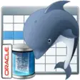 Icon of program: MySQL Oracle Import, Expo…