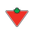 Icon of program: Canadian Tire Retail