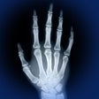 Icono de programa: Skeletal Anatomy 3D