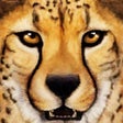 Icon of program: Ultimate Savanna Simulato…