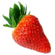 Icon of program: The  of growing strawberr…