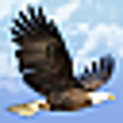 Icono de programa: Mountain Waterfall 3D Scr…