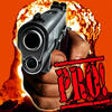 Icon of program: Picture It Pro