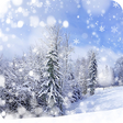 Icon of program: Winter Wallpaper