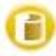 Icono de programa: Altova DatabaseSpy Enterp…