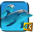 Icono de programa: Dolphins Live Wallpaper