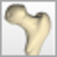 BoneLab icon