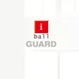 Icon of program: iBall Guard PTCAM V2