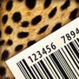 Icon of program: CheetahScan
