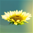 Icon of program: TippyTerm
