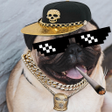 Icon of program: Thug Life Picture Editor