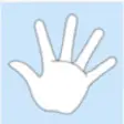 Icon of program: MN Hand Function Test
