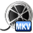 Icon of program: Bigasoft MKV Converter
