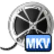 Icon of program: Bigasoft MKV Converter