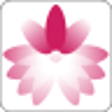 Icono de programa: iPromise