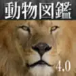 Icon of program: Animal Life for Japan