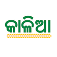 Icon of program: KALIA Reporting