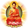 Icon of program: Gautama Buddha Quotes Ima…