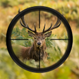 Icon of program: 3D Ultimate Deer Hunter