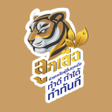 Icon of program: SCOUTDD