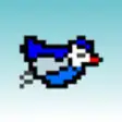 Icon of program: Amusing Bird - The somewh…