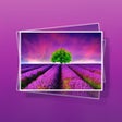 Icon of program: Flower WP~Extremely HD Fl…