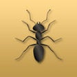 Icon of program: Disturbing Ants