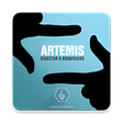 Icon of program: Artemis Directors Viewfin…