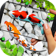 Icono de programa: Fish Live wallpaper 2019:…