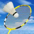 Icon of program: Badminton Champion 3D - J…