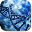 Icono de programa: DNA 3D Live Wallpaper