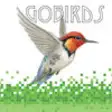 Icon of program: Gobirds Bird Game