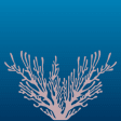 Icon of program: Rcifs coralliens