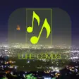 Icon of program: Luke Combs Music Mp3 Play…